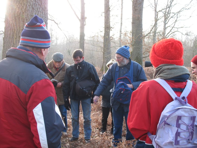 Lichens forestiers 3.3.2013 003